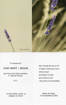 http://www.ngsm.org/images/Joan_Marti.jpg